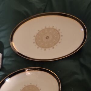 Elegant Cream and Gold Dinner Plates